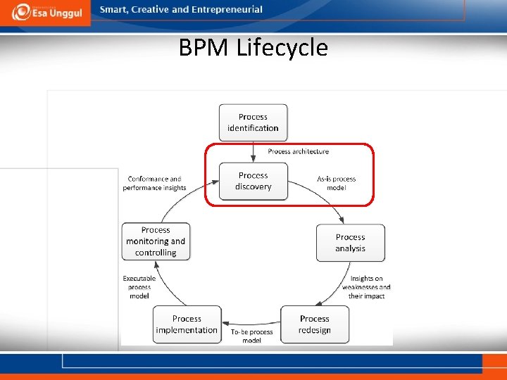 BPM Lifecycle 