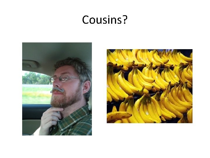 Cousins? 