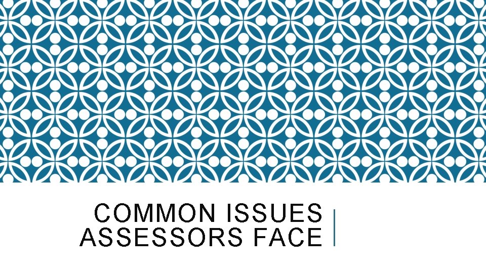 COMMON ISSUES ASSESSORS FACE 