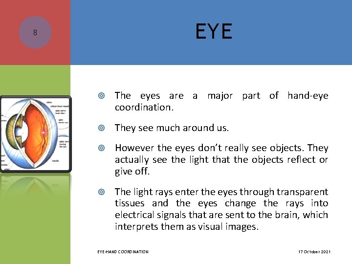 EYE 8 The eyes are a major part of hand-eye coordination. They see much