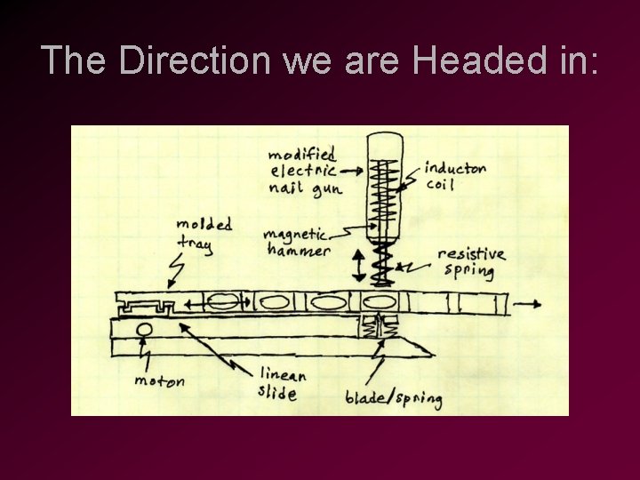 The Direction we are Headed in: 