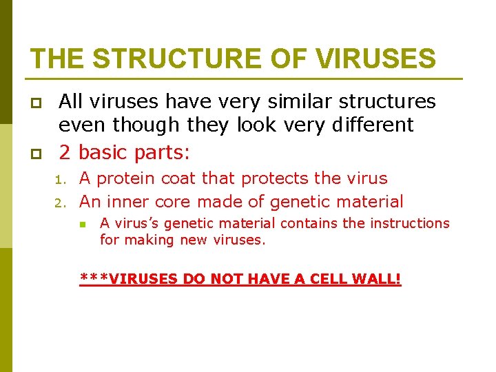 THE STRUCTURE OF VIRUSES p p All viruses have very similar structures even though