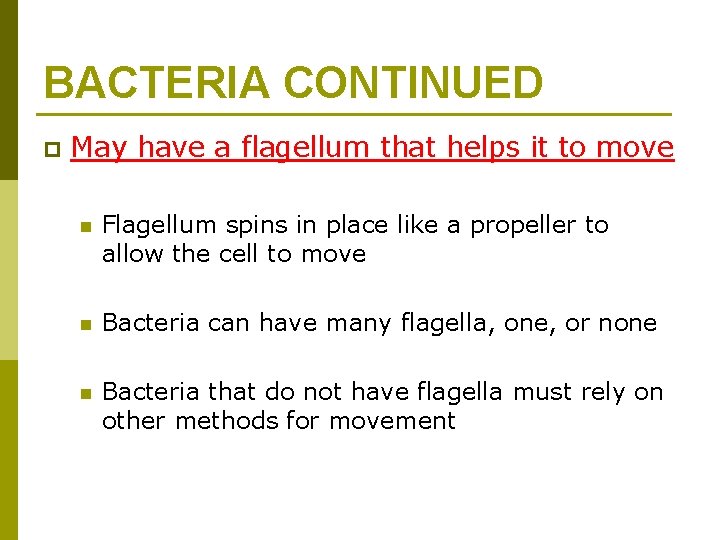 BACTERIA CONTINUED p May have a flagellum that helps it to move n Flagellum
