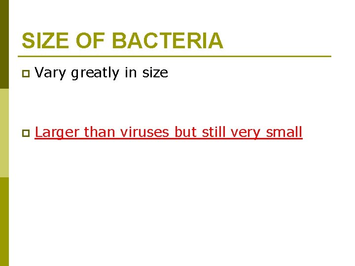 SIZE OF BACTERIA p Vary greatly in size p Larger than viruses but still