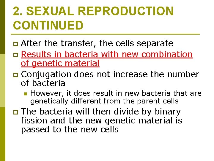 2. SEXUAL REPRODUCTION CONTINUED After the transfer, the cells separate p Results in bacteria