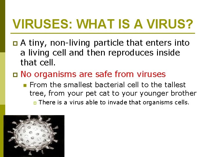 VIRUSES: WHAT IS A VIRUS? A tiny, non-living particle that enters into a living
