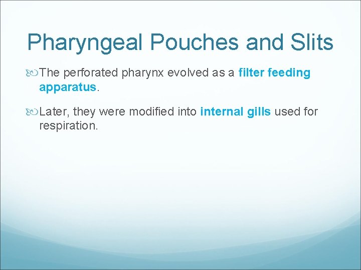 Pharyngeal Pouches and Slits The perforated pharynx evolved as a filter feeding apparatus. Later,