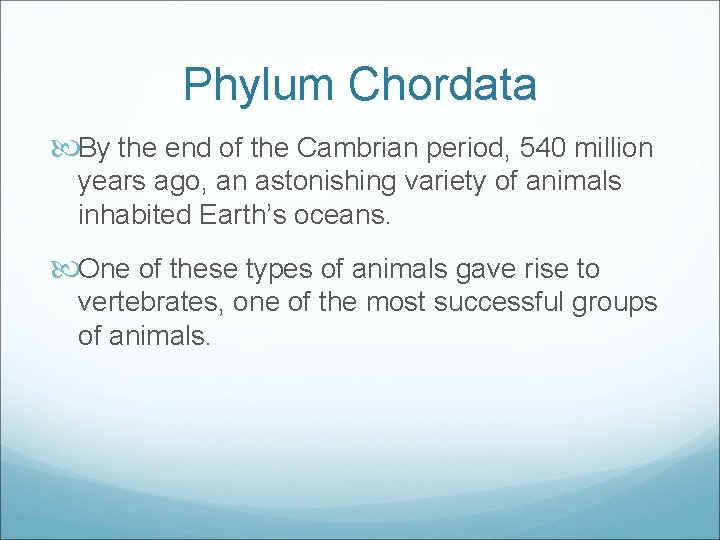 Phylum Chordata By the end of the Cambrian period, 540 million years ago, an