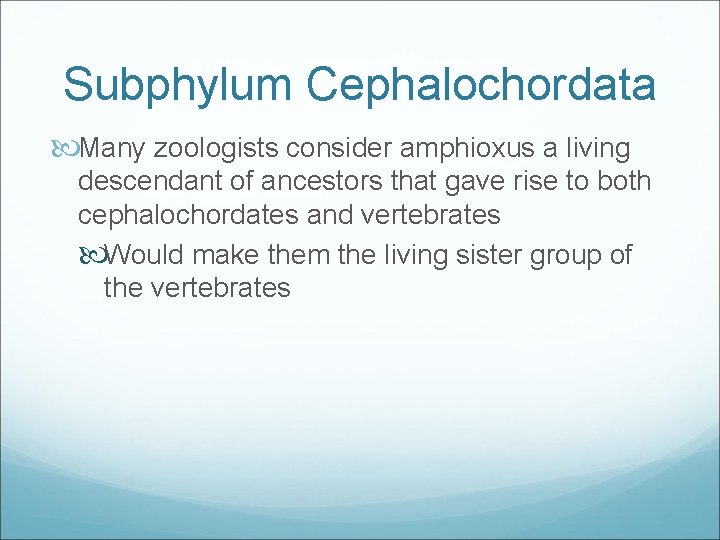 Subphylum Cephalochordata Many zoologists consider amphioxus a living descendant of ancestors that gave rise