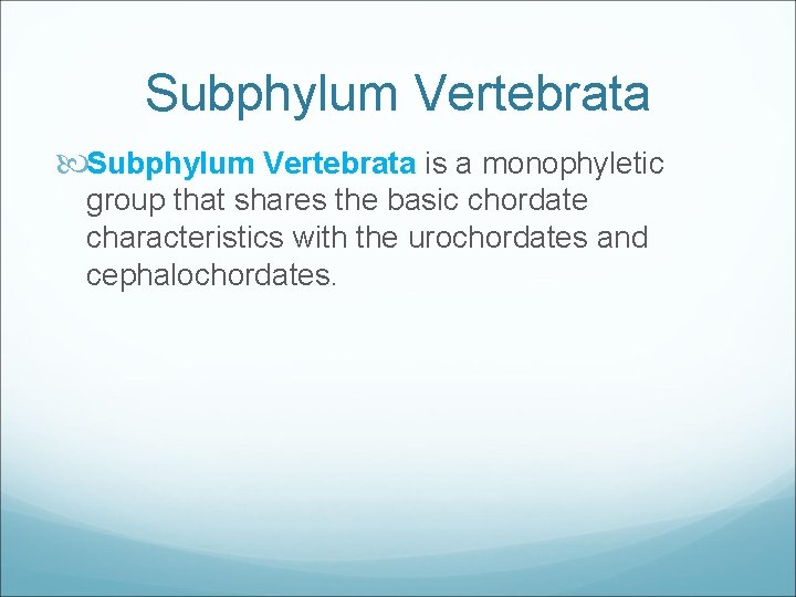 Subphylum Vertebrata is a monophyletic group that shares the basic chordate characteristics with the