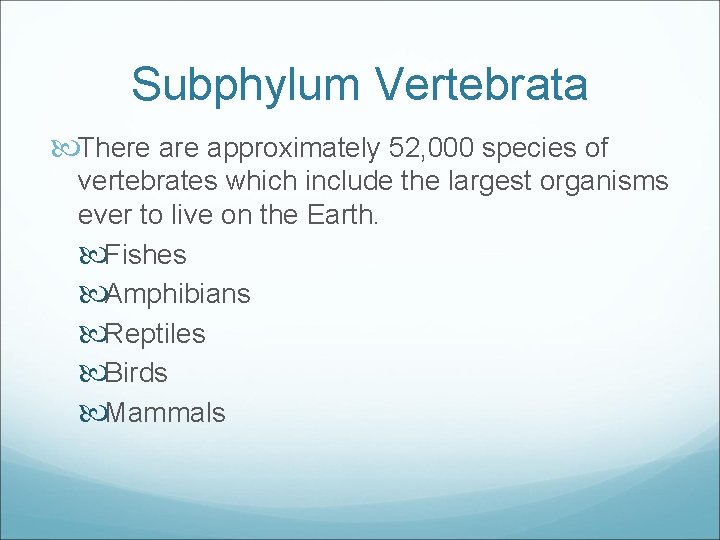 Subphylum Vertebrata There approximately 52, 000 species of vertebrates which include the largest organisms