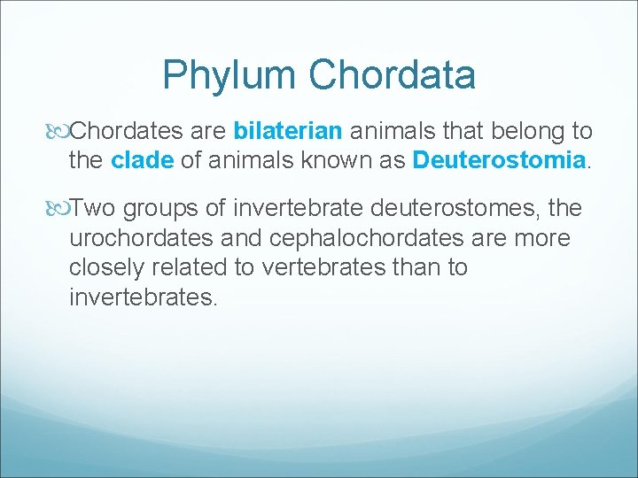 Phylum Chordata Chordates are bilaterian animals that belong to the clade of animals known