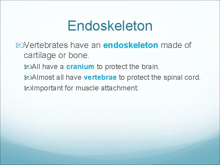 Endoskeleton Vertebrates have an endoskeleton made of cartilage or bone. All have a cranium