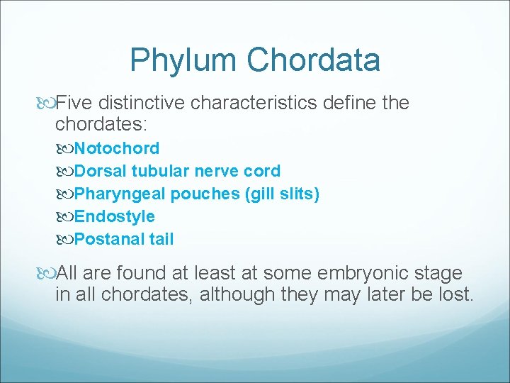 Phylum Chordata Five distinctive characteristics define the chordates: Notochord Dorsal tubular nerve cord Pharyngeal