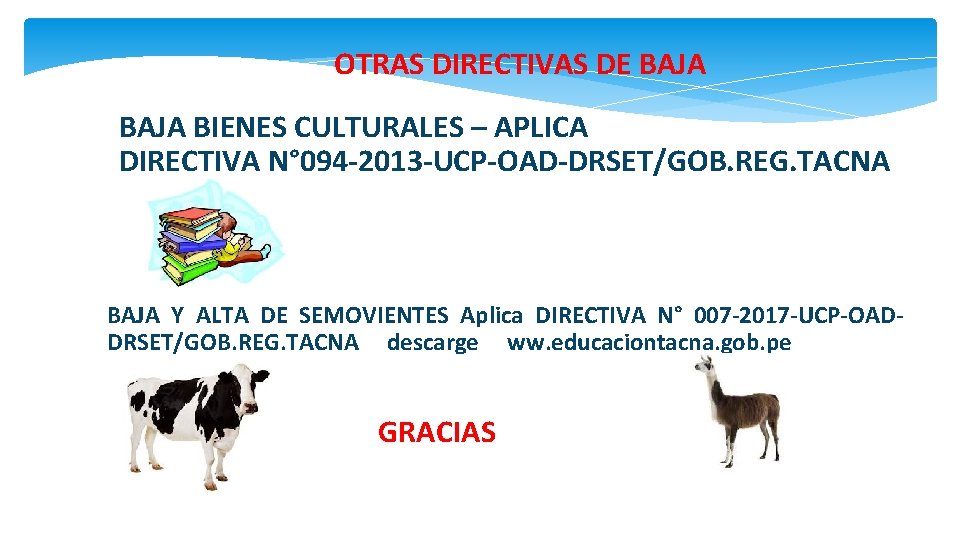 OTRAS DIRECTIVAS DE BAJA BIENES CULTURALES – APLICA DIRECTIVA N° 094 -2013 -UCP-OAD-DRSET/GOB. REG.