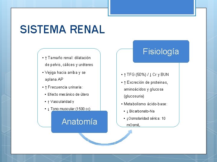 SISTEMA RENAL Fisiología • ↑ Tamaño renal: dilatación de pelvis, cálices y uréteres •