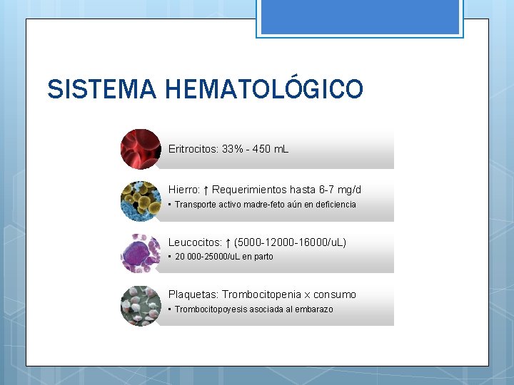 SISTEMA HEMATOLÓGICO Eritrocitos: 33% - 450 m. L Hierro: ↑ Requerimientos hasta 6 -7