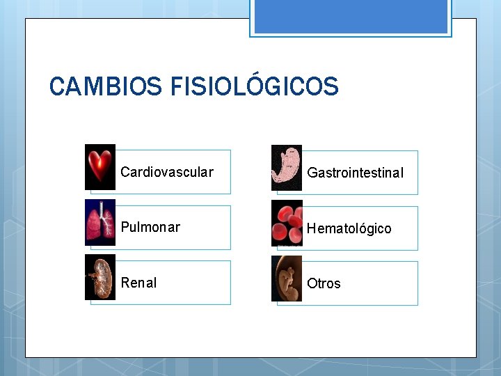 CAMBIOS FISIOLÓGICOS Cardiovascular Gastrointestinal Pulmonar Hematológico Renal Otros 