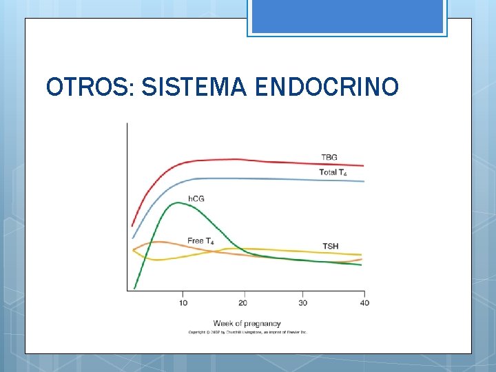 OTROS: SISTEMA ENDOCRINO 