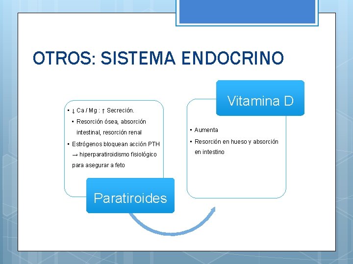 OTROS: SISTEMA ENDOCRINO Vitamina D • ↓ Ca / Mg : ↑ Secreción. •