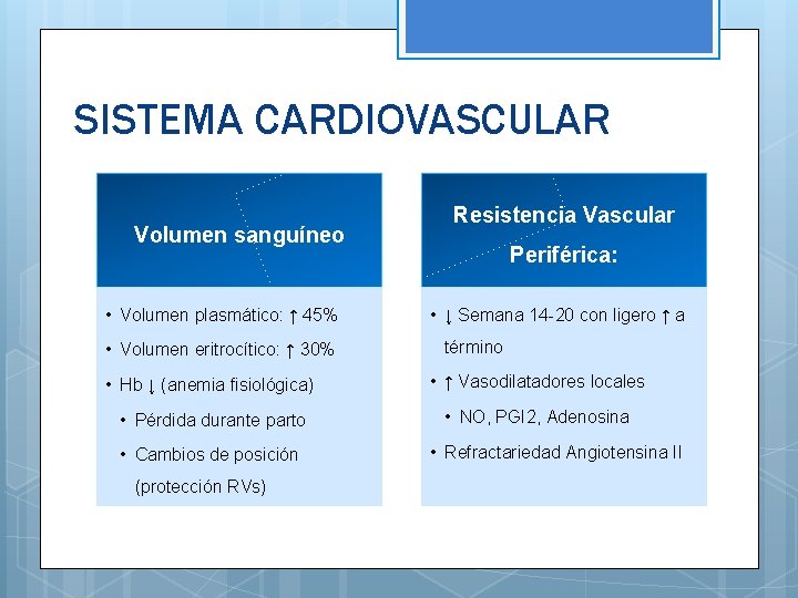 SISTEMA CARDIOVASCULAR Volumen sanguíneo • Volumen plasmático: ↑ 45% • Volumen eritrocítico: ↑ 30%