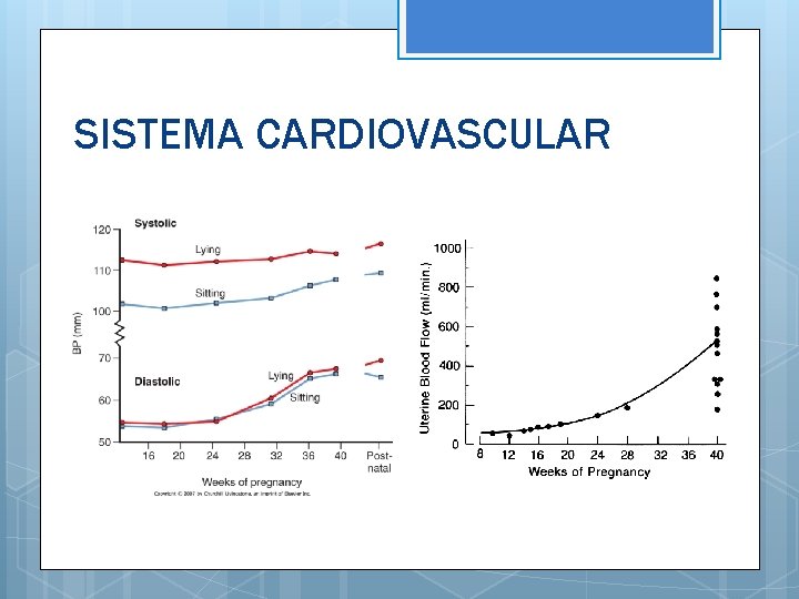SISTEMA CARDIOVASCULAR 