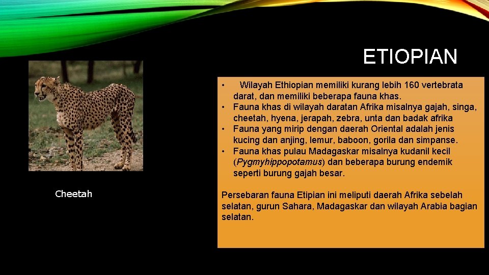 ETIOPIAN • Wilayah Ethiopian memiliki kurang lebih 160 vertebrata darat, dan memiliki beberapa fauna