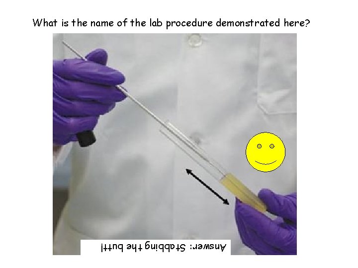 What is the name of the lab procedure demonstrated here? Answer: Stabbing the butt!
