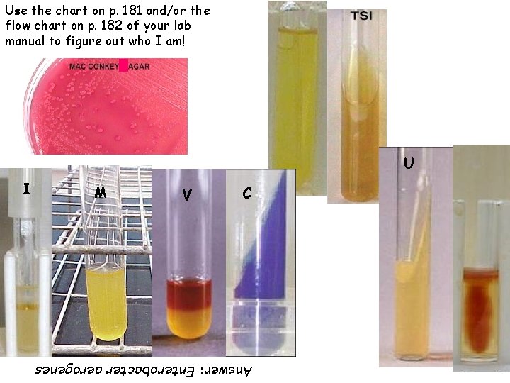 Use the chart on p. 181 and/or the flow chart on p. 182 of