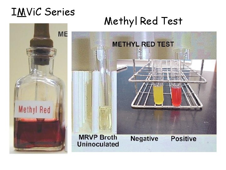 IMVi. C Series Methyl Red Test 