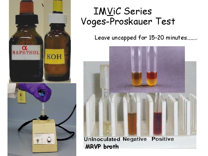 IMVi. C Series Voges-Proskauer Test Leave uncapped for 15 -20 minutes……. . MRVP broth