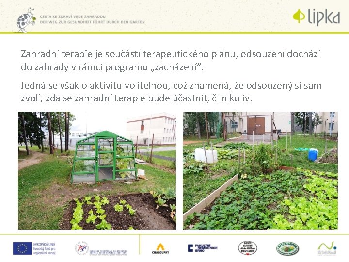 Zahradní terapie je součástí terapeutického plánu, odsouzení dochází do zahrady v rámci programu „zacházení“.
