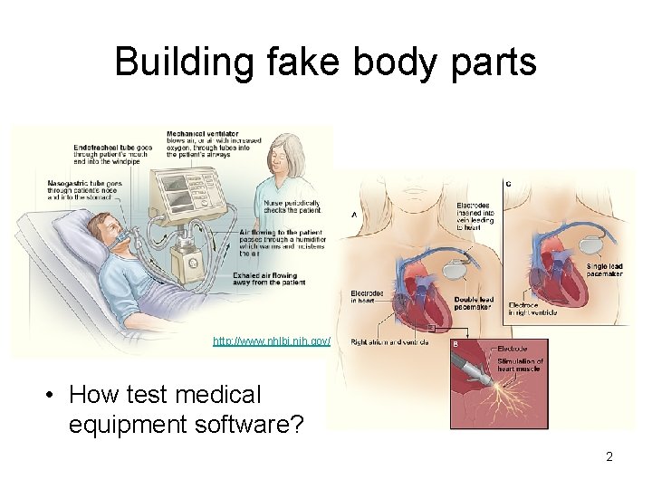 Building fake body parts http: //www. nhlbi. nih. gov/ • How test medical equipment