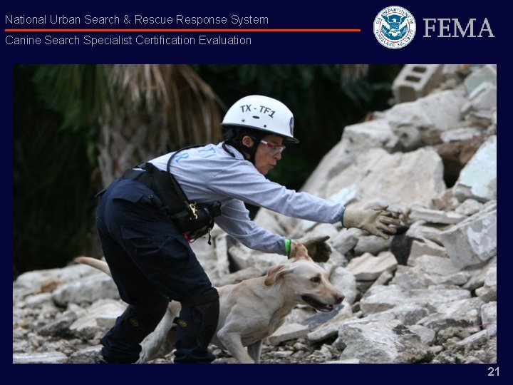 National Urban Search & Rescue Response System Canine Search Specialist Certification Evaluation 21 