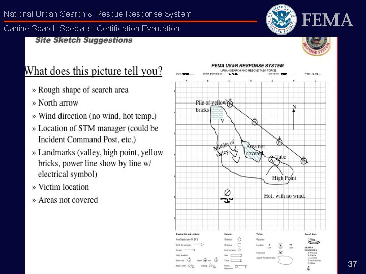 National Urban Search & Rescue Response System Canine Search Specialist Certification Evaluation 37 