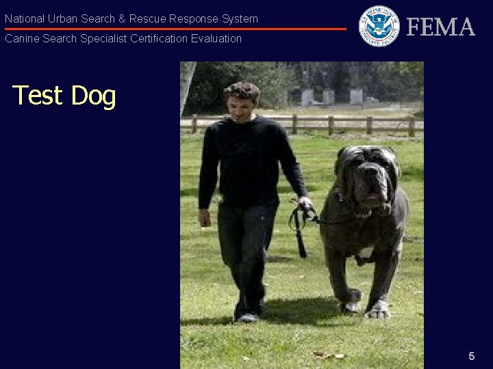 National Urban Search & Rescue Response System Canine Search Specialist Certification Evaluation Test Dog