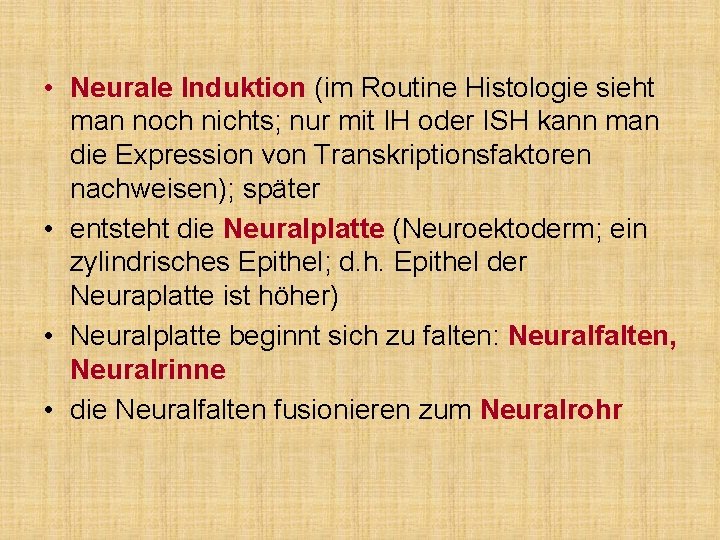  • Neurale Induktion (im Routine Histologie sieht man noch nichts; nur mit IH