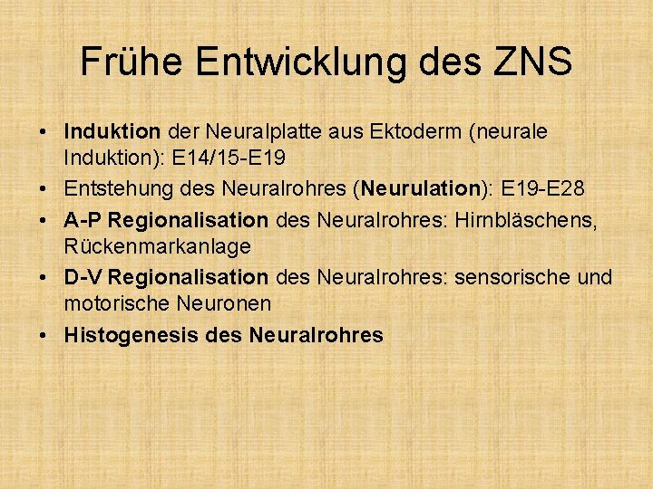 Frühe Entwicklung des ZNS • Induktion der Neuralplatte aus Ektoderm (neurale Induktion): E 14/15