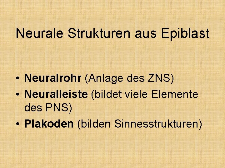 Neurale Strukturen aus Epiblast • Neuralrohr (Anlage des ZNS) • Neuralleiste (bildet viele Elemente