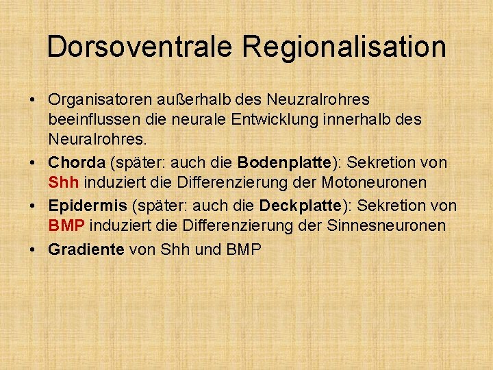 Dorsoventrale Regionalisation • Organisatoren außerhalb des Neuzralrohres beeinflussen die neurale Entwicklung innerhalb des Neuralrohres.