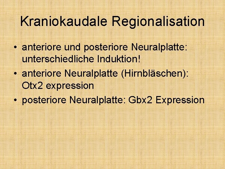 Kraniokaudale Regionalisation • anteriore und posteriore Neuralplatte: unterschiedliche Induktion! • anteriore Neuralplatte (Hirnbläschen): Otx