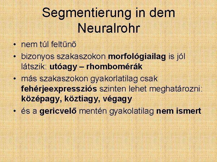 Segmentierung in dem Neuralrohr • nem túl feltűnő • bizonyos szakaszokon morfológiailag is jól
