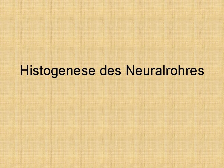 Histogenese des Neuralrohres 