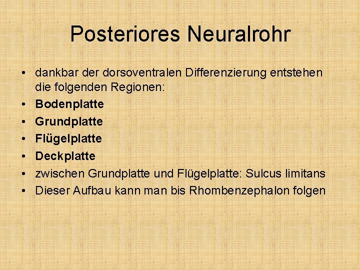 Posteriores Neuralrohr • dankbar der dorsoventralen Differenzierung entstehen die folgenden Regionen: • Bodenplatte •