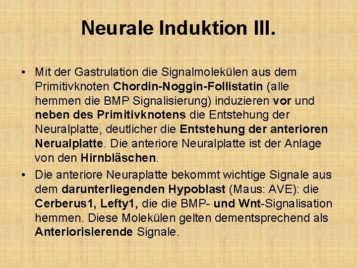 Neurale Induktion III. • Mit der Gastrulation die Signalmolekülen aus dem Primitivknoten Chordin-Noggin-Follistatin (alle