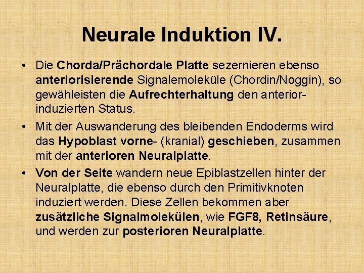 Neurale Induktion IV. • Die Chorda/Prächordale Platte sezernieren ebenso anteriorisierende Signalemoleküle (Chordin/Noggin), so gewähleisten