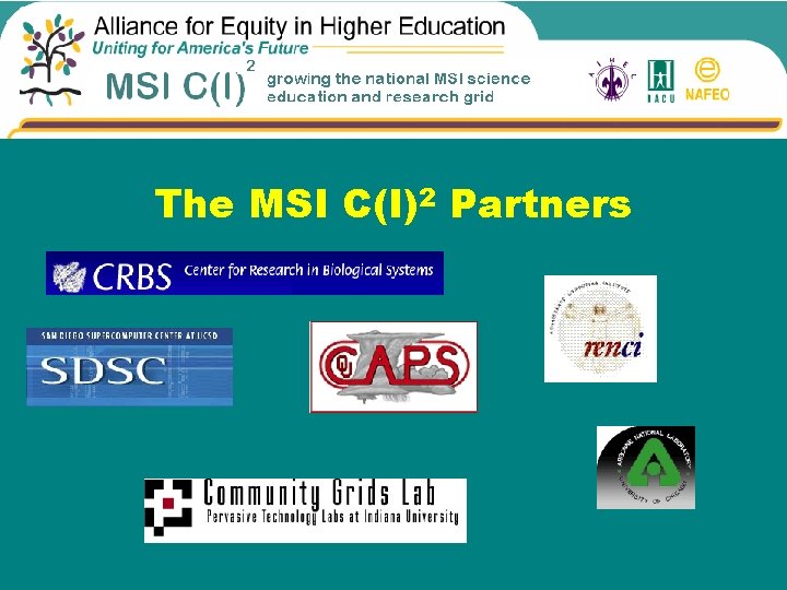 The MSI C(I)2 Partners 