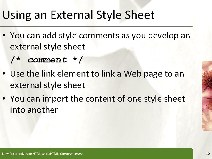 Using an External Style Sheet XP • You can add style comments as you