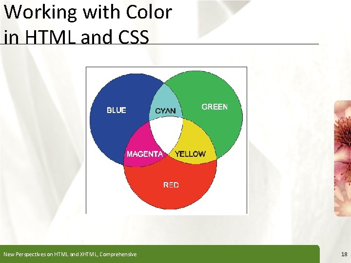 Working with Color in HTML and CSS New Perspectives on HTML and XHTML, Comprehensive