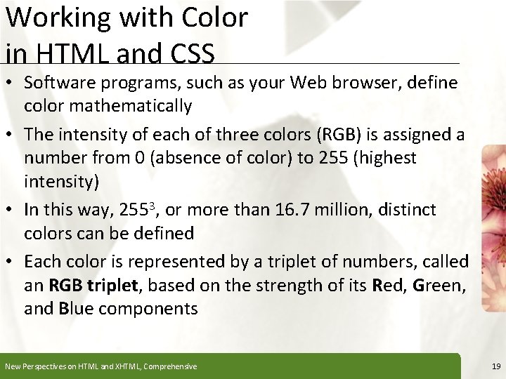 Working with Color in HTML and CSS XP • Software programs, such as your